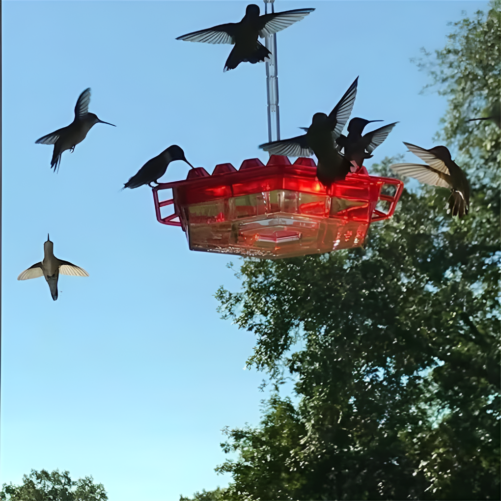 Myggfri Hummingbird Feeder