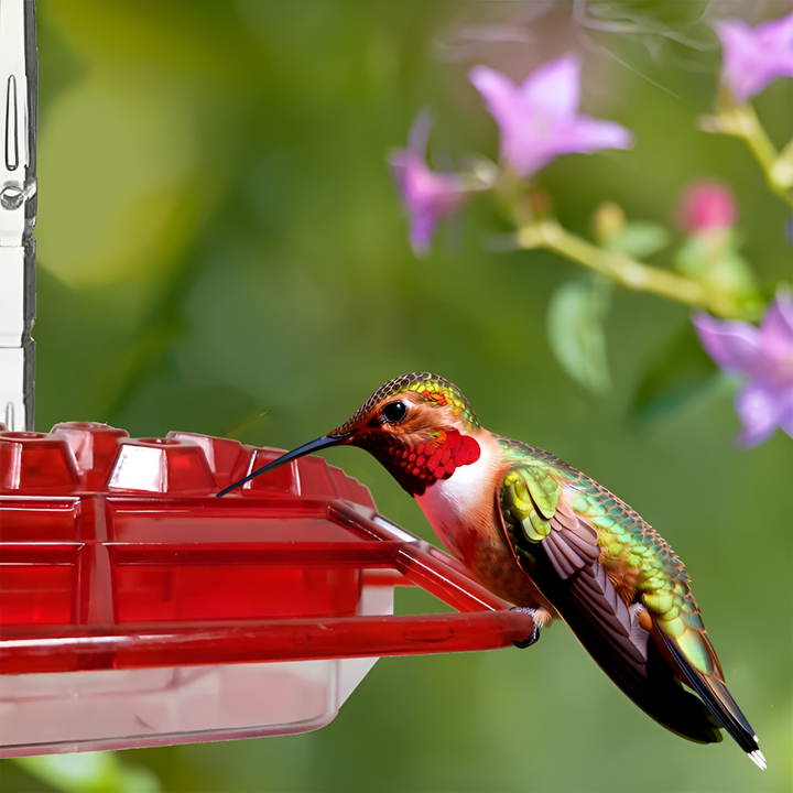 Myggfri Hummingbird Feeder