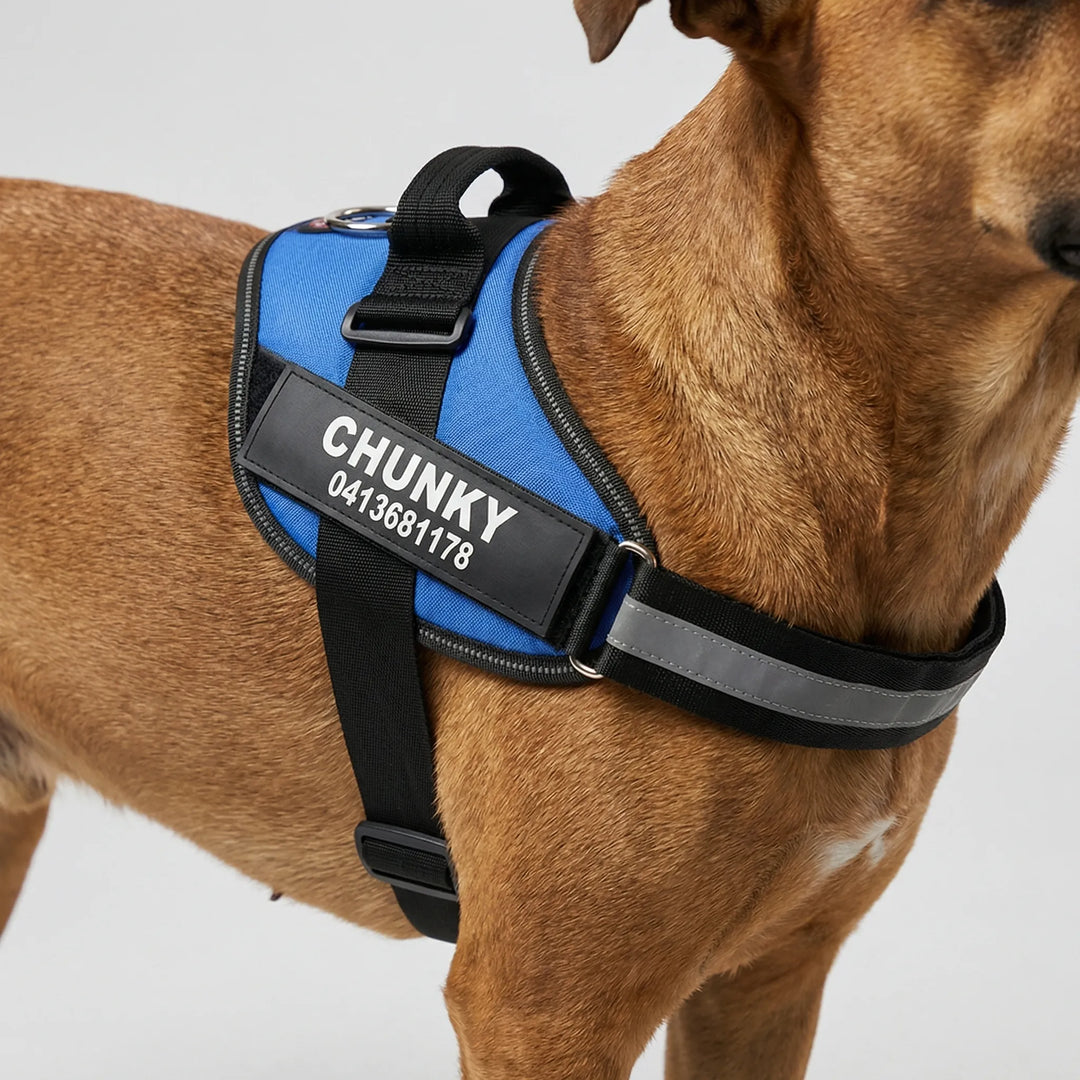 Pawdentify - Personalized Front-Attachment No-Pull Harness
