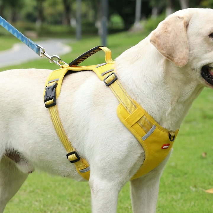 Pawltra - Adjustable Anti-Pull Chest Harness