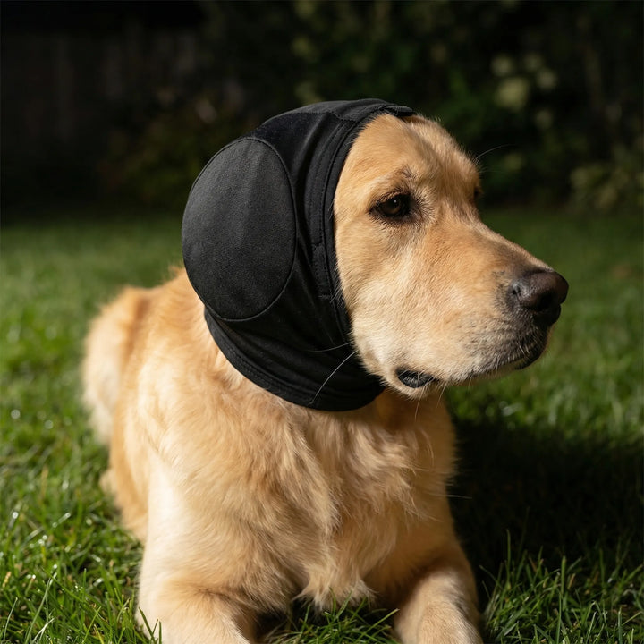 Pawlulz - Soft Calming Hood For Dogs