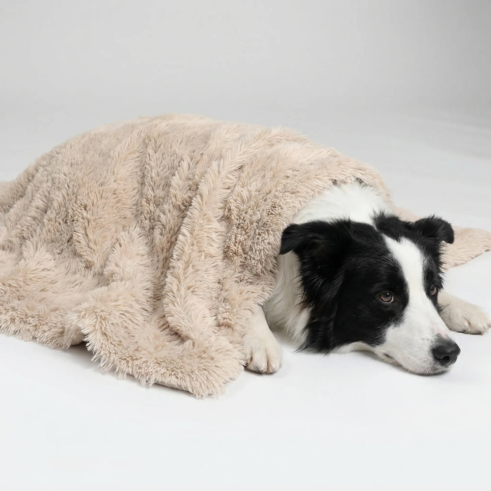 Pawlux - Waterproof Faux Fur Pet Throw Blanket