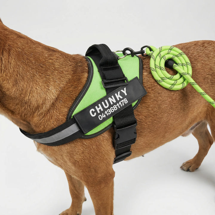 Pawsonix - Personalized Front-Attachment No-Pull Harness