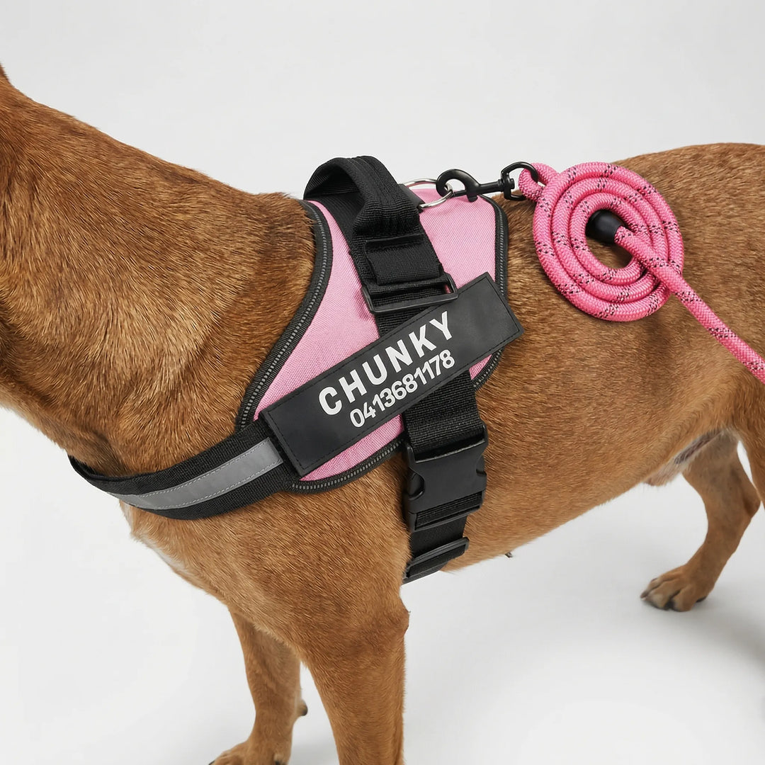 Pawsonix - Personalized Front-Attachment No-Pull Harness