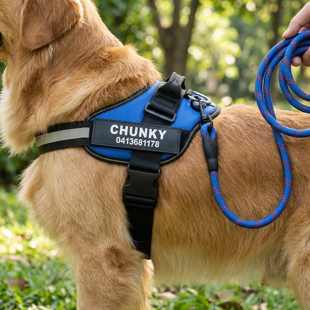 Pawsonix - Personalized Front-Attachment No-Pull Harness