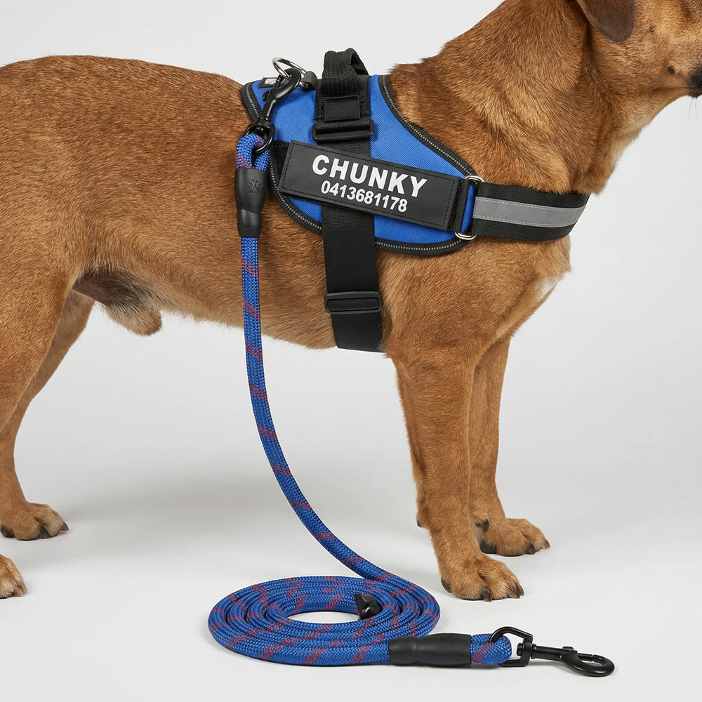 Pawsonix - Personalized Front-Attachment No-Pull Harness