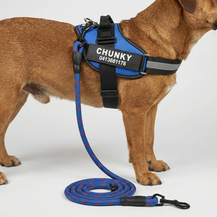 Pawsonix - Personalized Front-Attachment No-Pull Harness