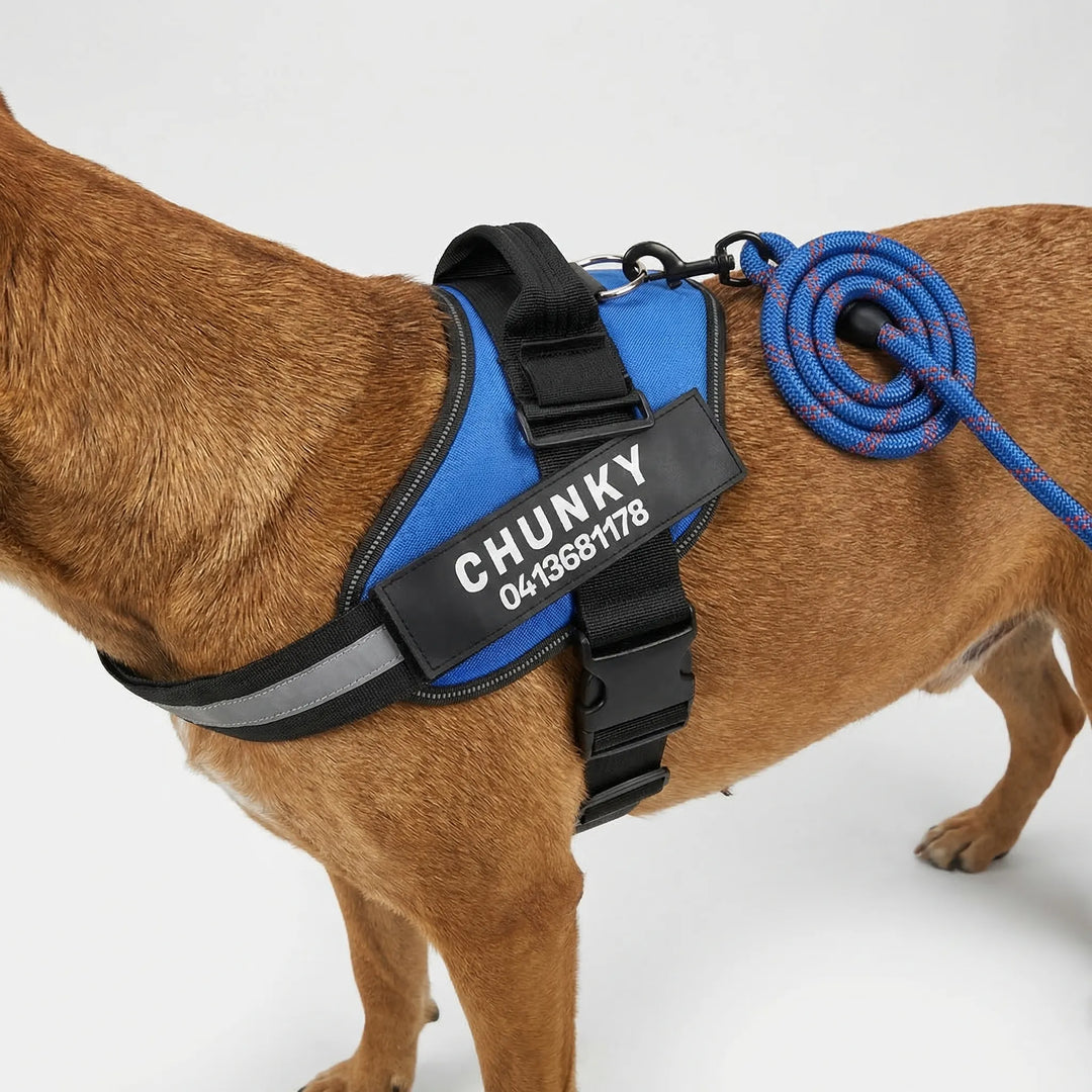 Pawsonix - Personalized Front-Attachment No-Pull Harness