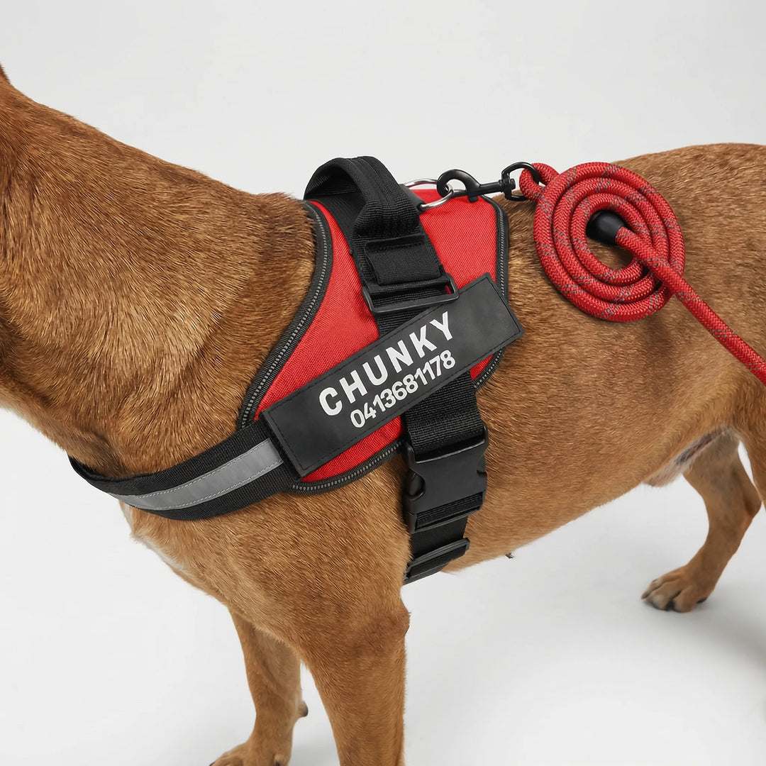 Pawsonix - Personalized Front-Attachment No-Pull Harness