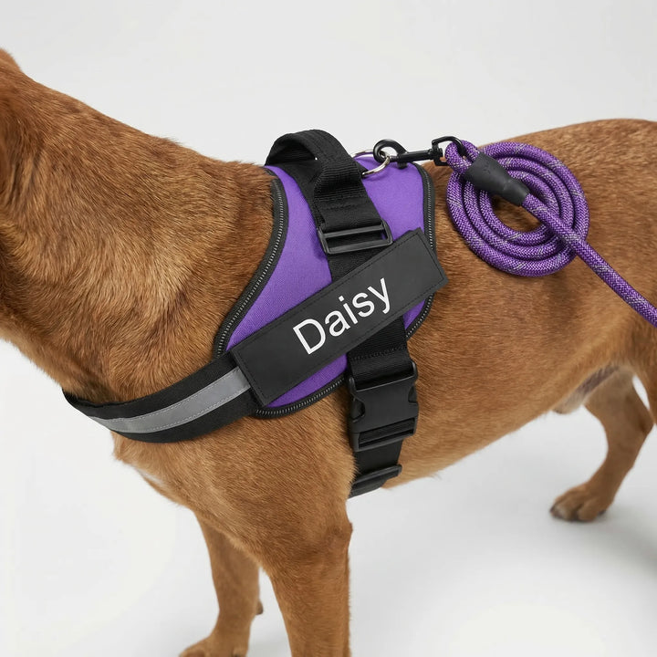 Pawsonix - Personalized Front-Attachment No-Pull Harness