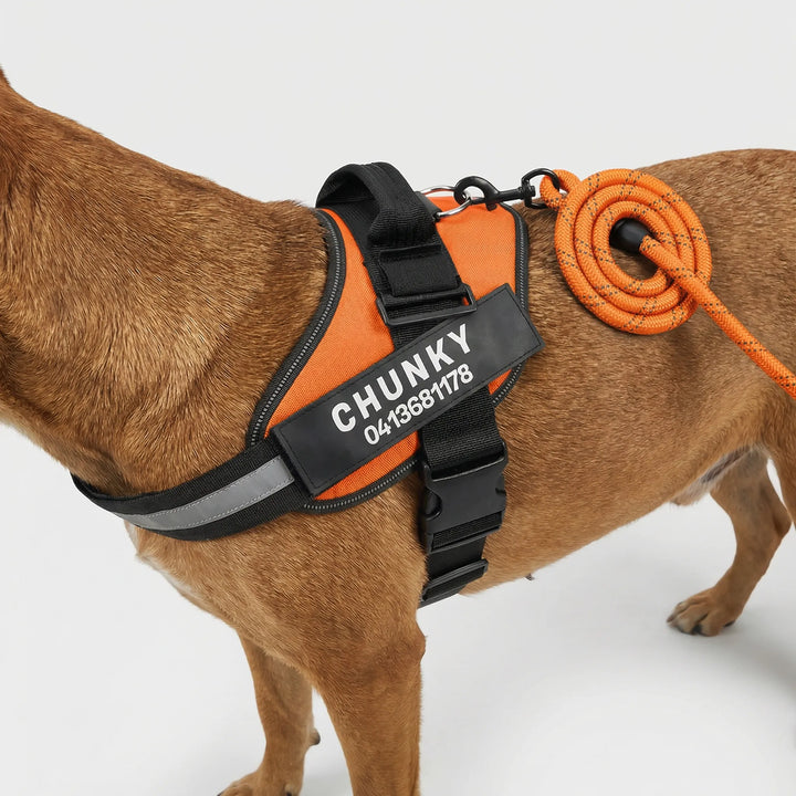 Pawsonix - Personalized Front-Attachment No-Pull Harness