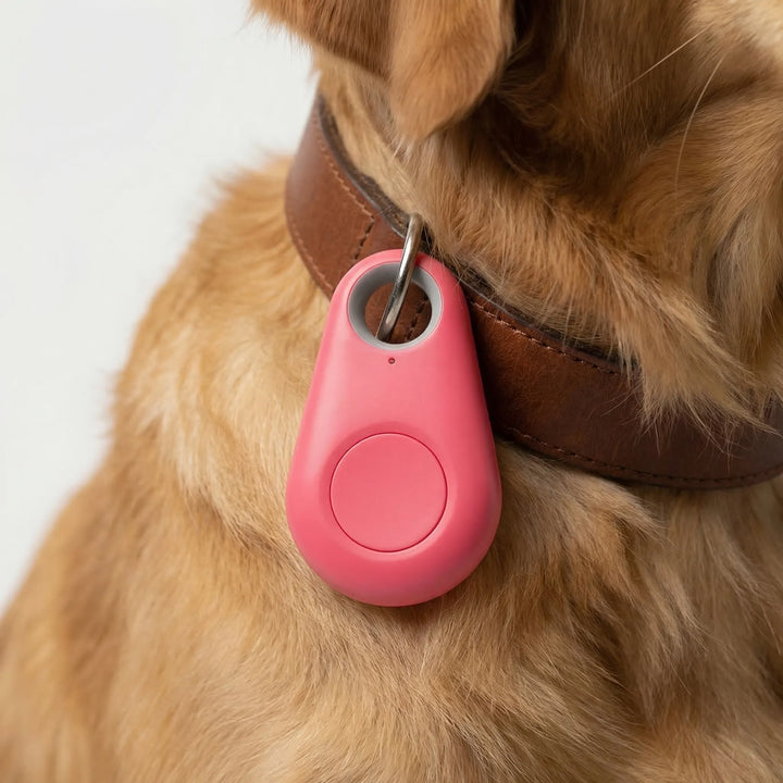 Pawtraxo - Compact GPS Collar Attachment Tracker