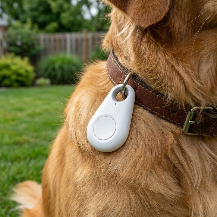 Pawtraxo - Compact GPS Collar Attachment Tracker
