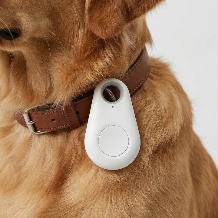 Pawtraxo - Compact GPS Collar Attachment Tracker