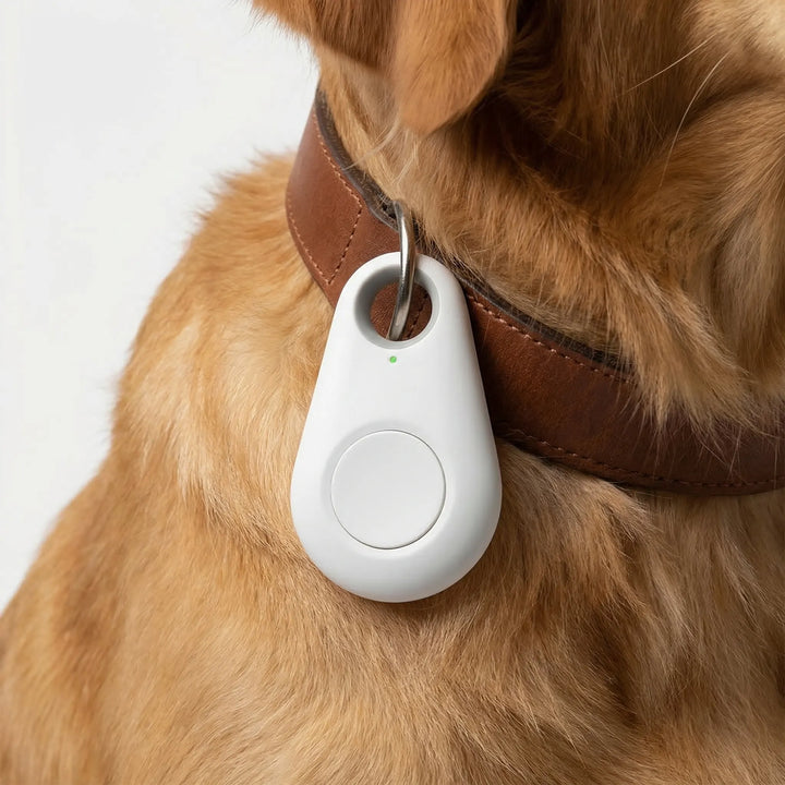 Pawtraxo - Compact GPS Collar Attachment Tracker