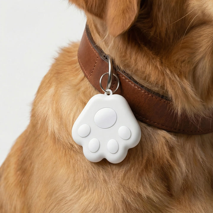 Pawtraxo - Compact GPS Collar Attachment Tracker