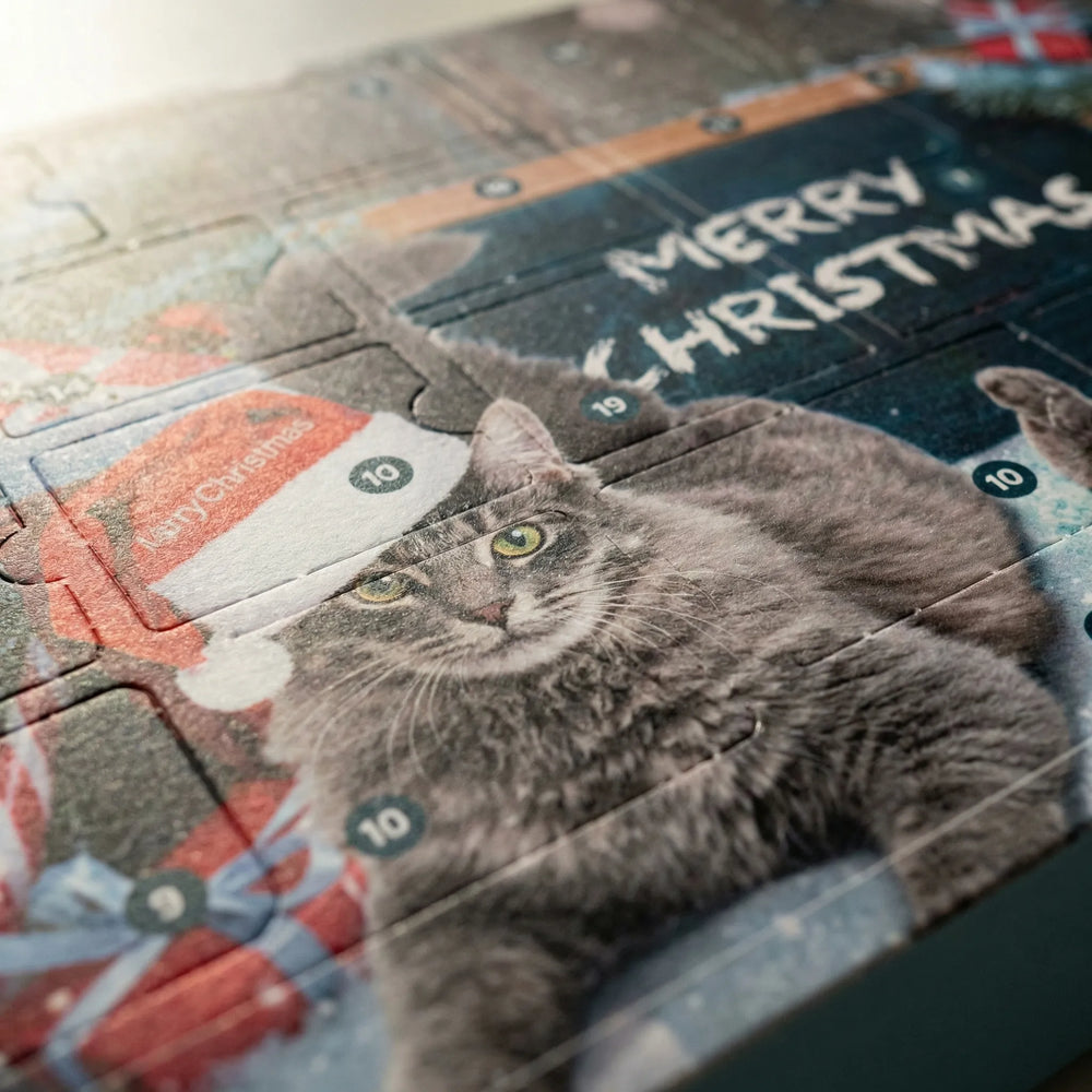 Pawventy - 24-Door Holiday Advent Calendar For Cats