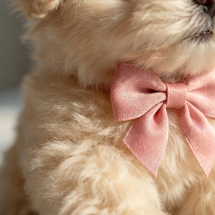 Pawzlyn - Battery-Operated Interactive Puppy Toy