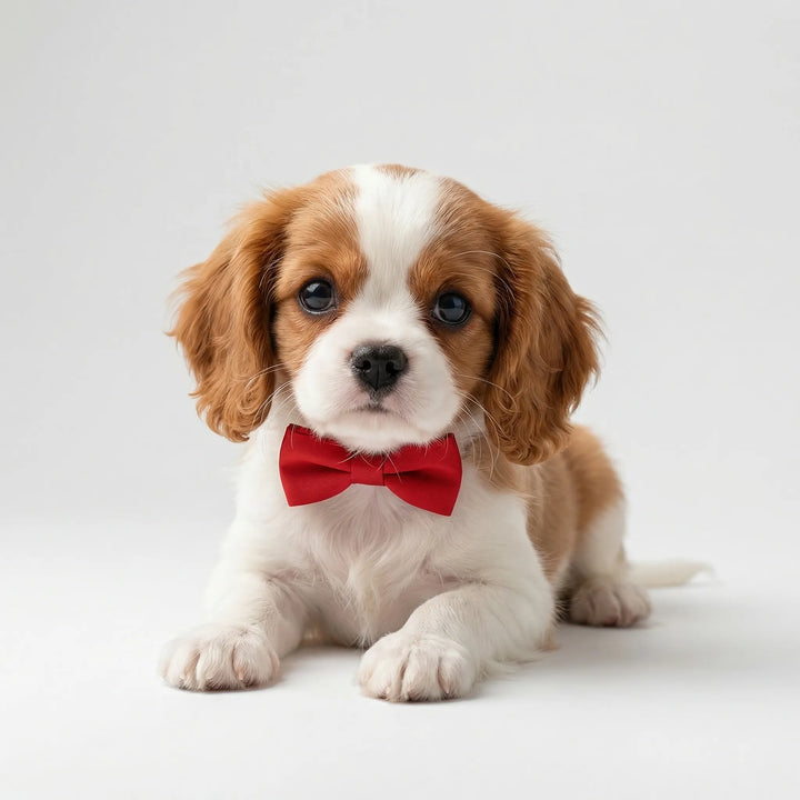 Pawzlyn - Battery-Operated Interactive Puppy Toy