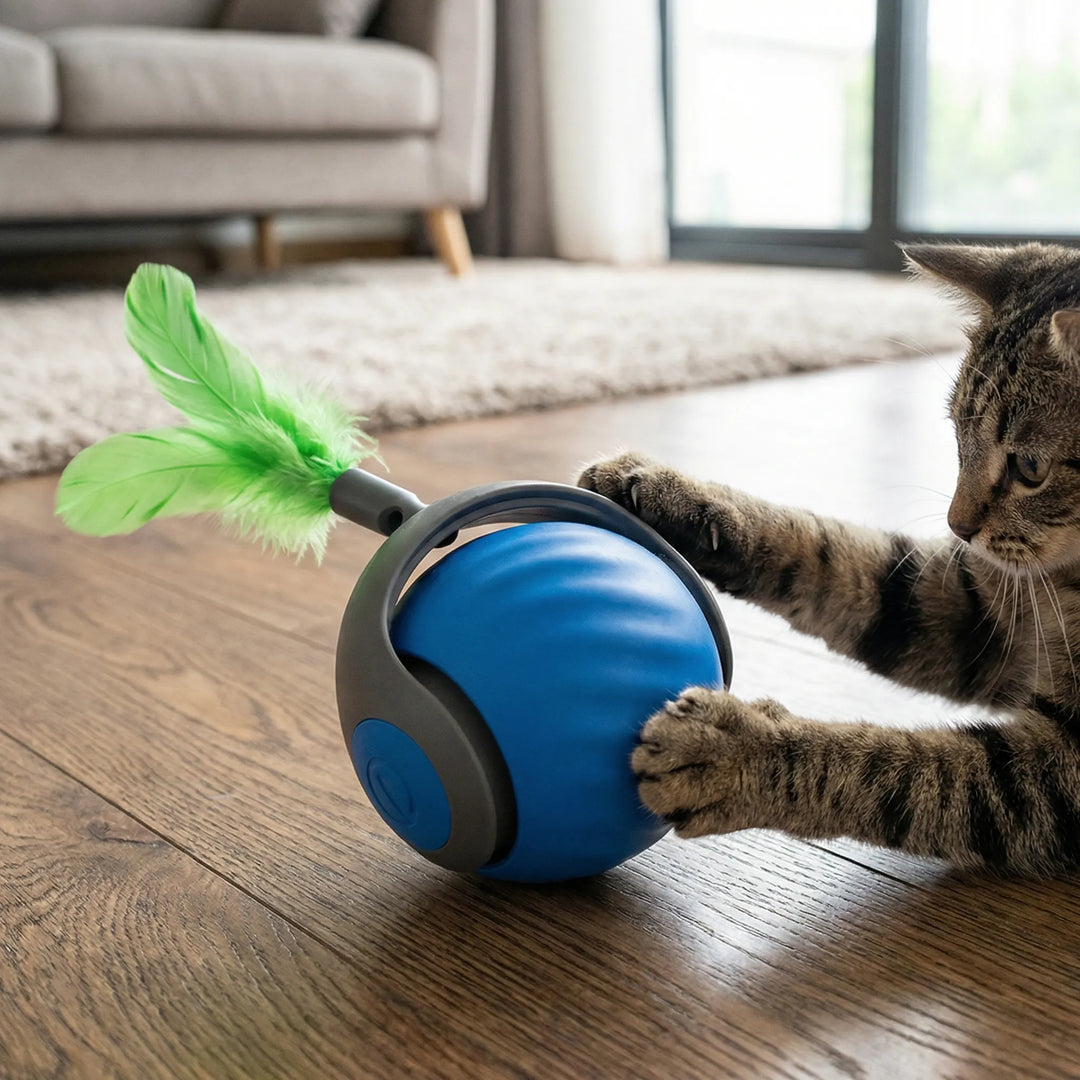 Rollova - Self-Rolling Motion-Activated Cat Toy