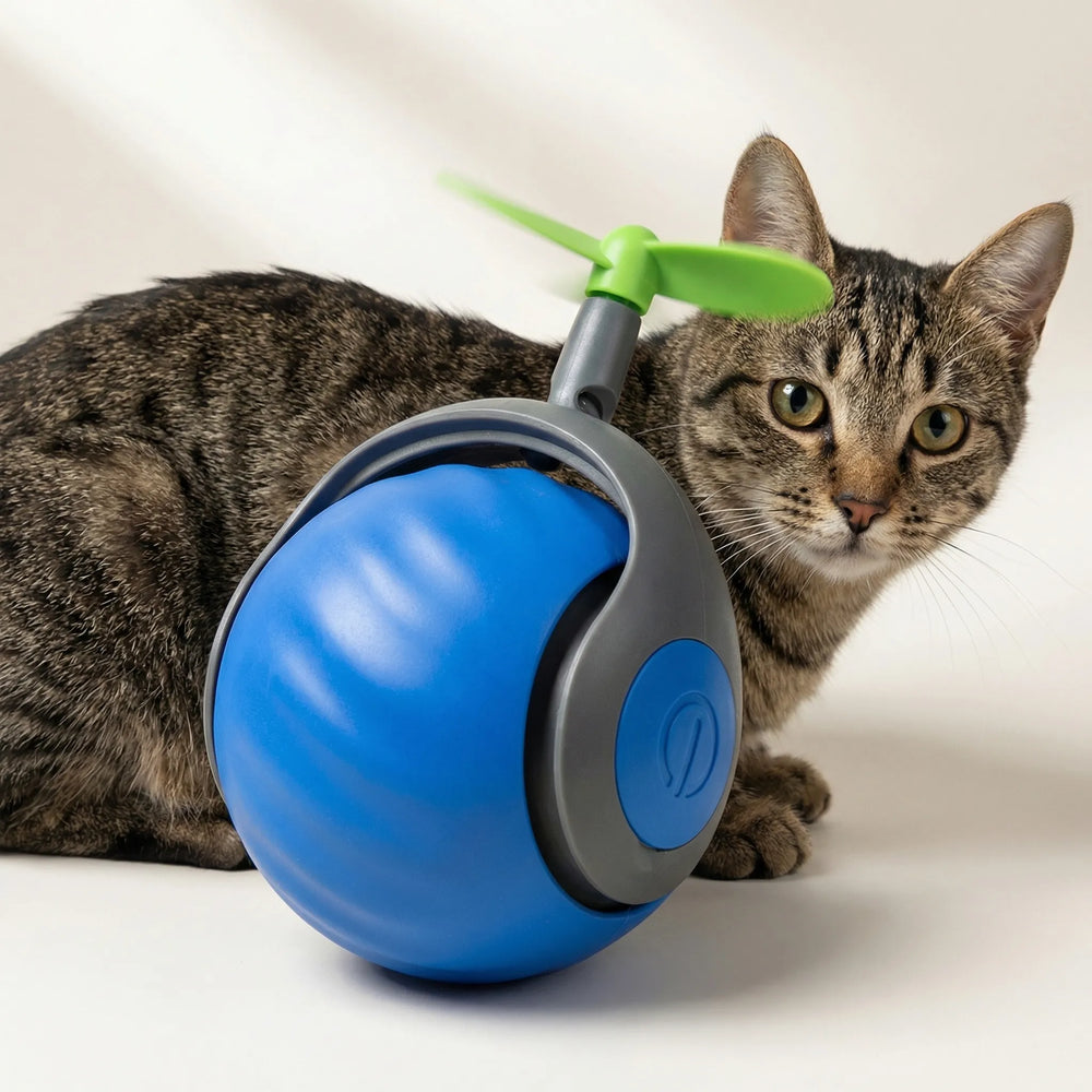 Rollova - Self-Rolling Motion-Activated Cat Toy
