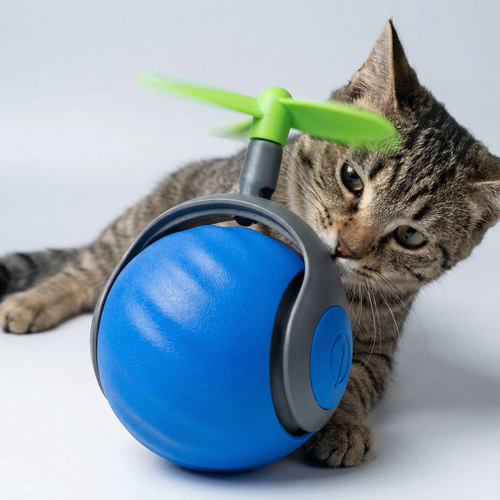 Rollova - Self-Rolling Motion-Activated Cat Toy