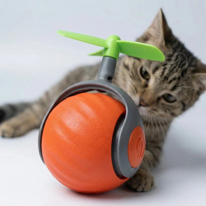 Rollova - Self-Rolling Motion-Activated Cat Toy