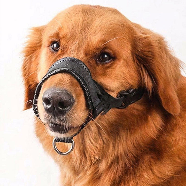 Säker Justerbar Kontroll Hundmunskydd