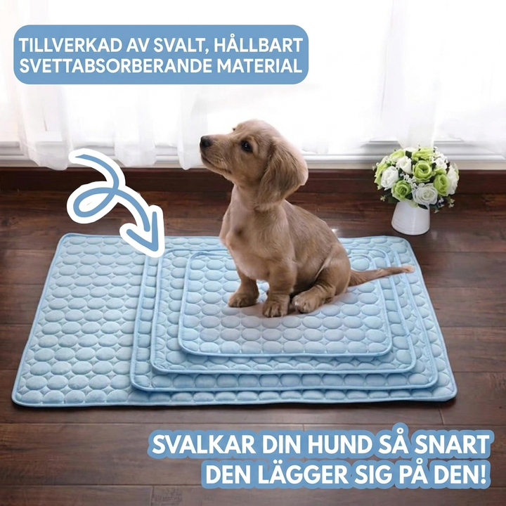 Hundkylmatta med Halkskydd – Svalkande Sommarbädd