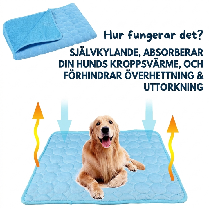 Hundkylmatta med Halkskydd – Svalkande Sommarbädd