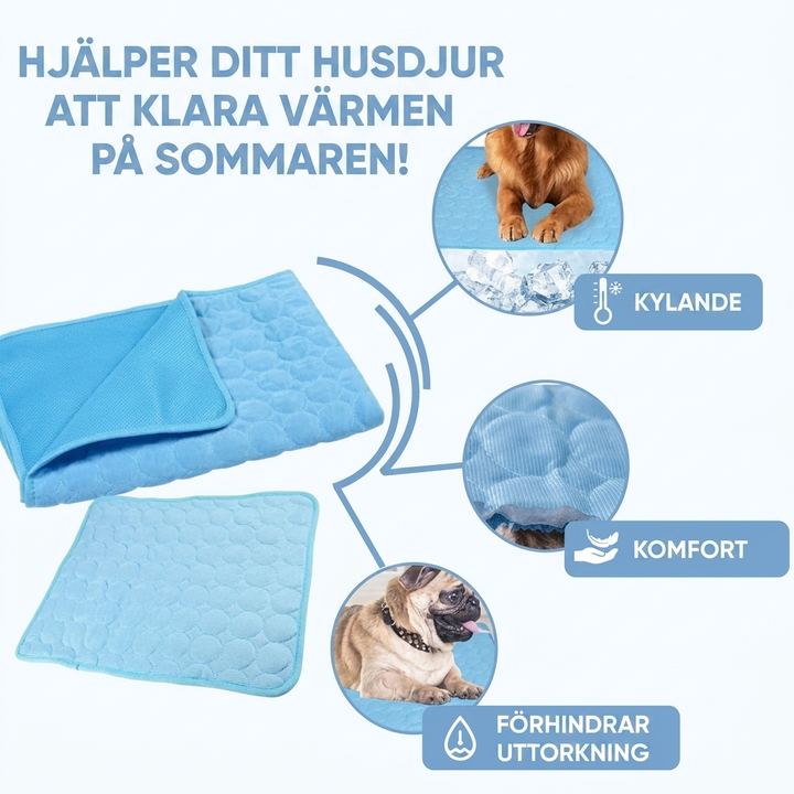 Hundkylmatta med Halkskydd – Svalkande Sommarbädd