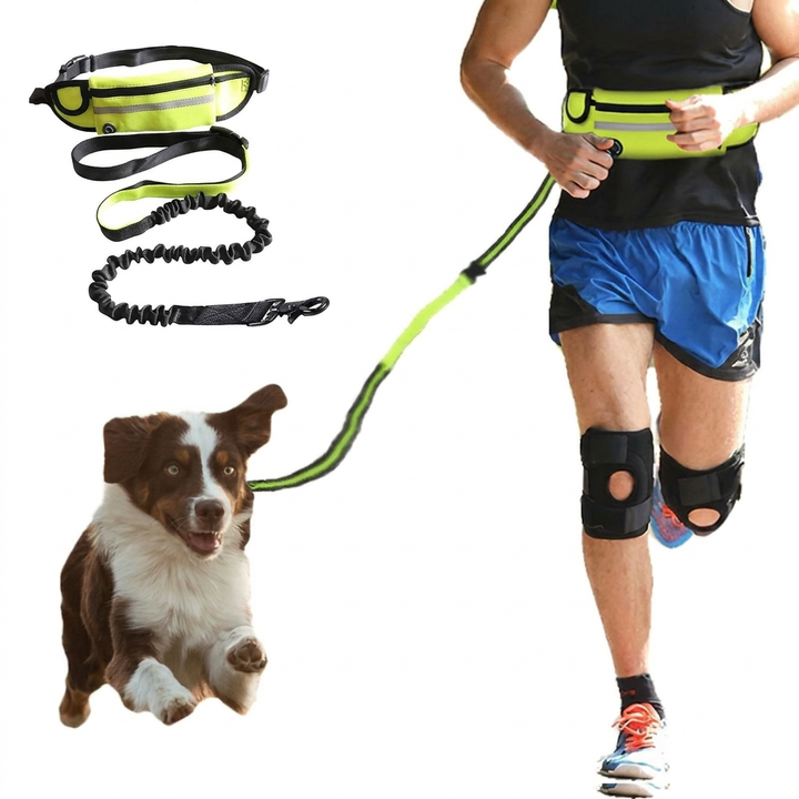 Handsfree-hund Koppel
